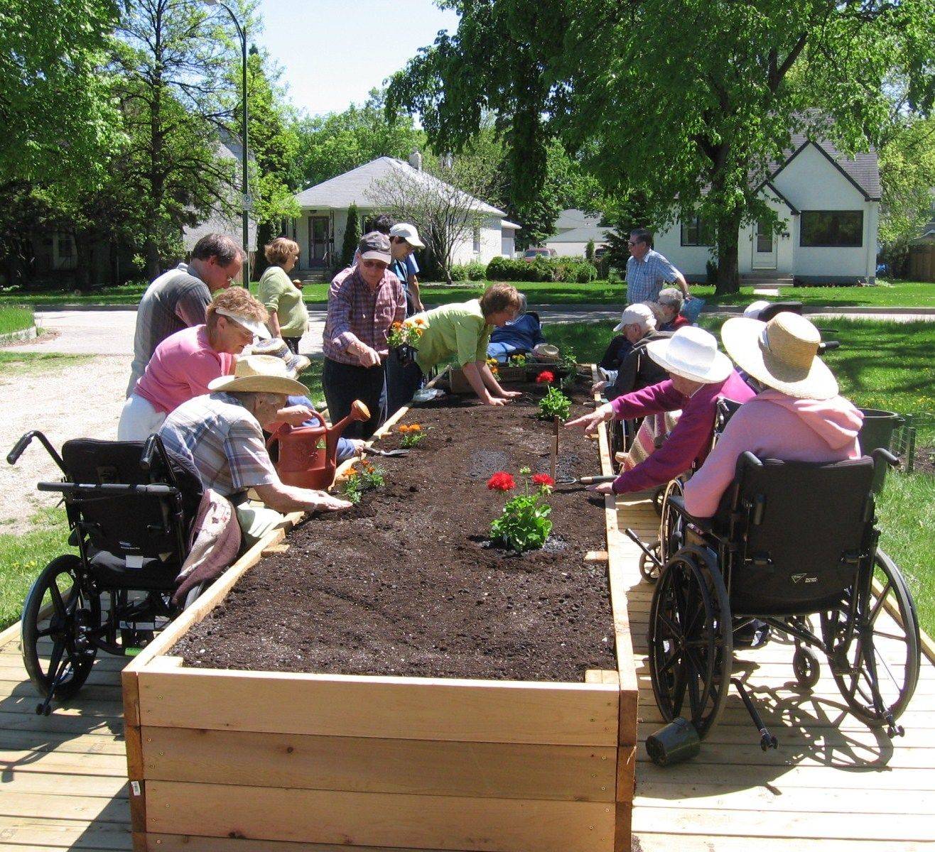 Community Garden Plot Layout Outdoor Decor Ideas