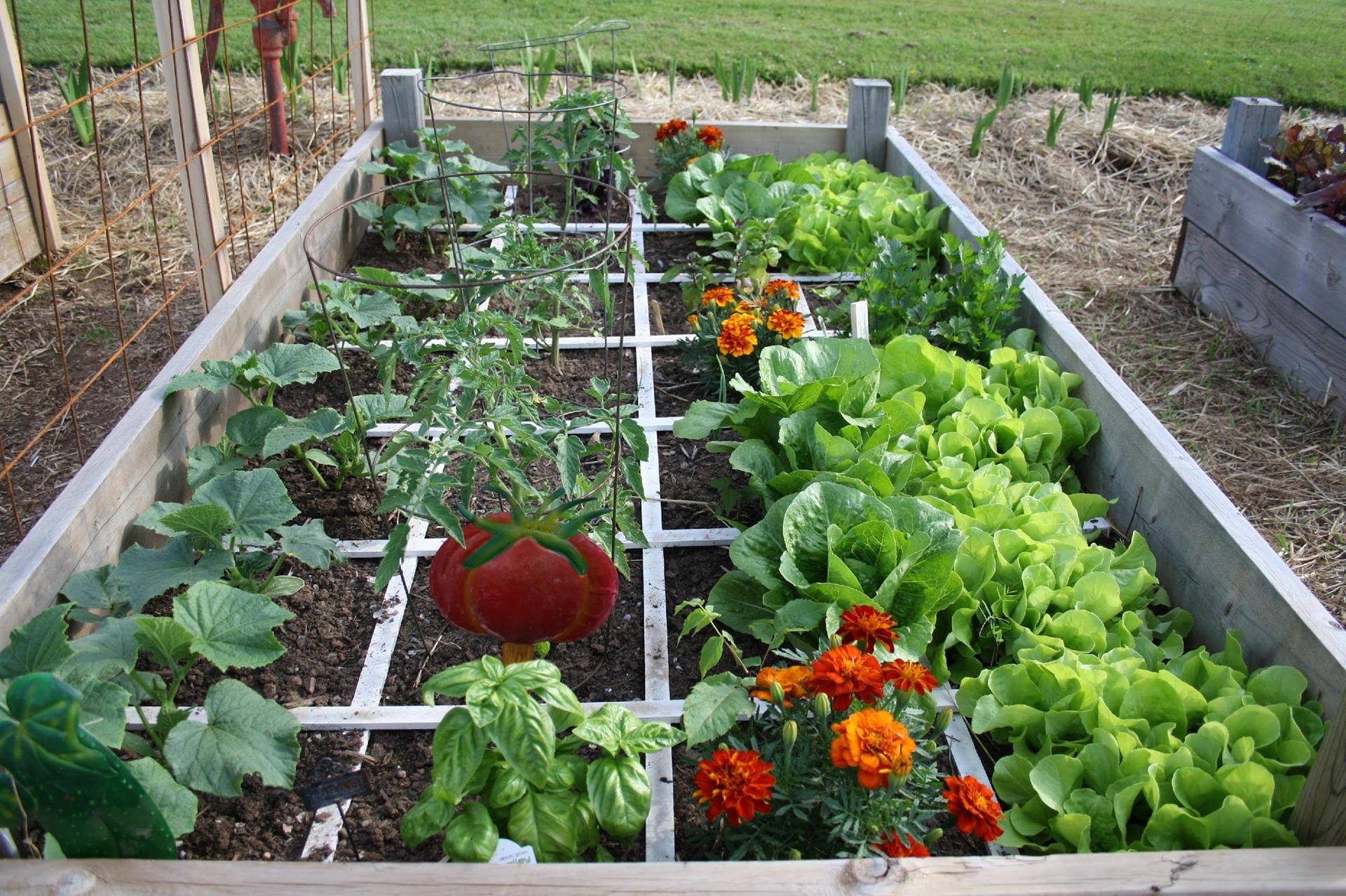 Different Community Garden Plot Designs