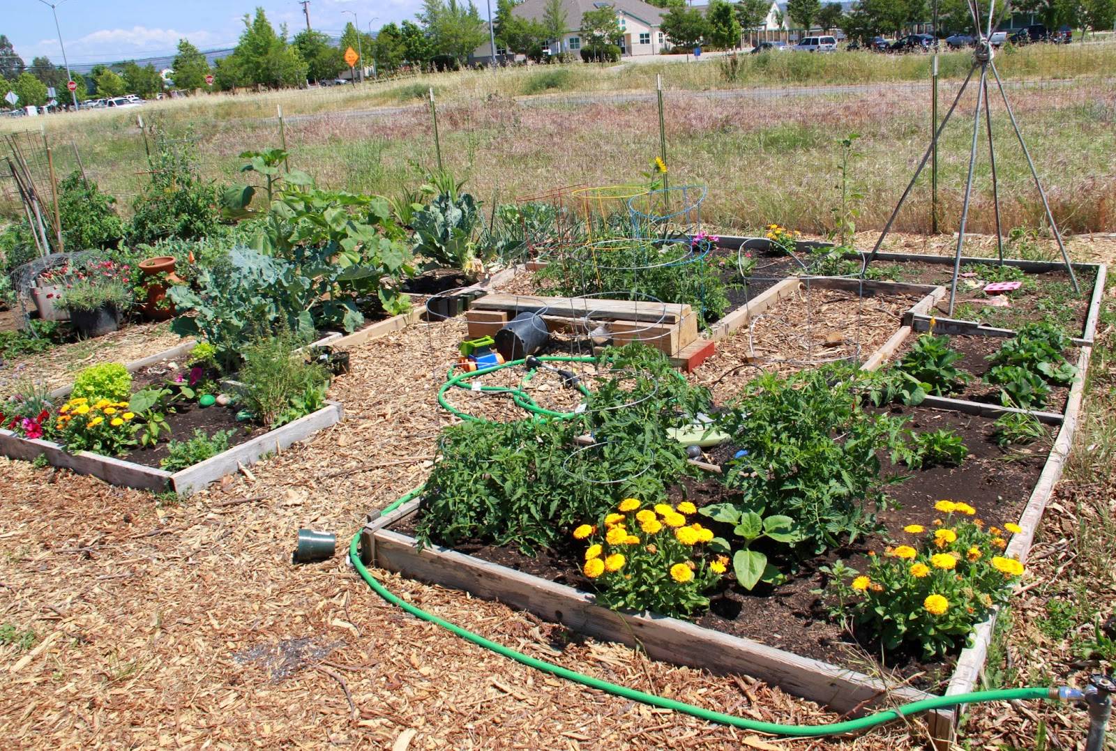 Activgardens Outdoor Community Resource
