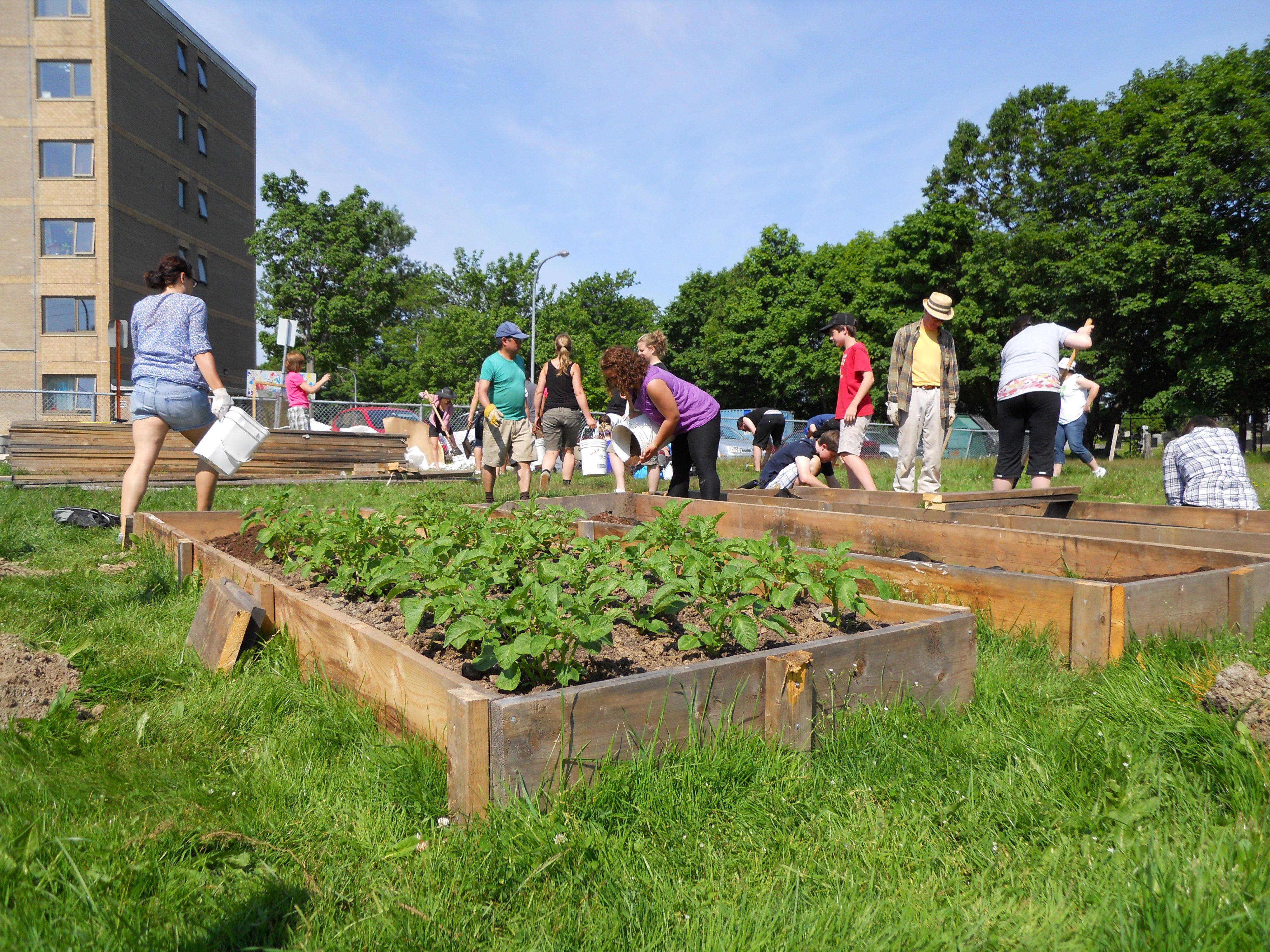 Building Community Community Gardening