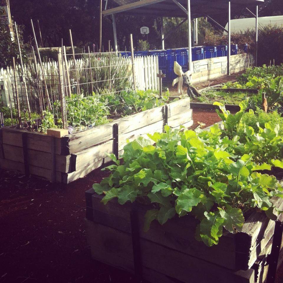 Community Garden Ideas