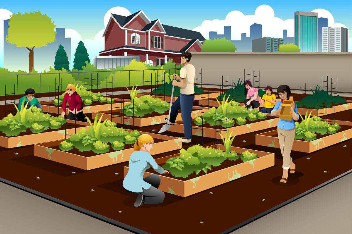Community Garden Daly City Blog