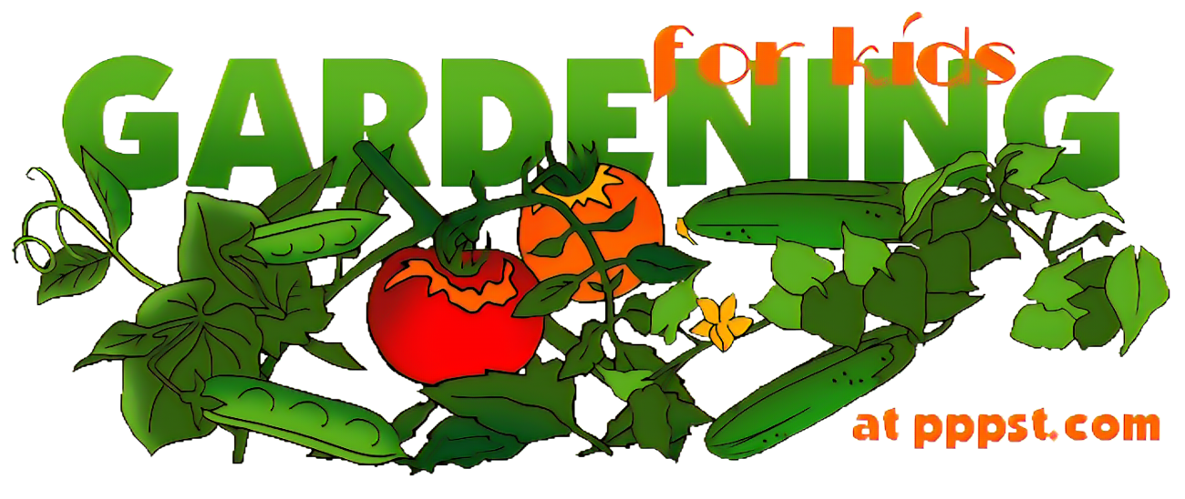 A Small Town Garden Garden Plan