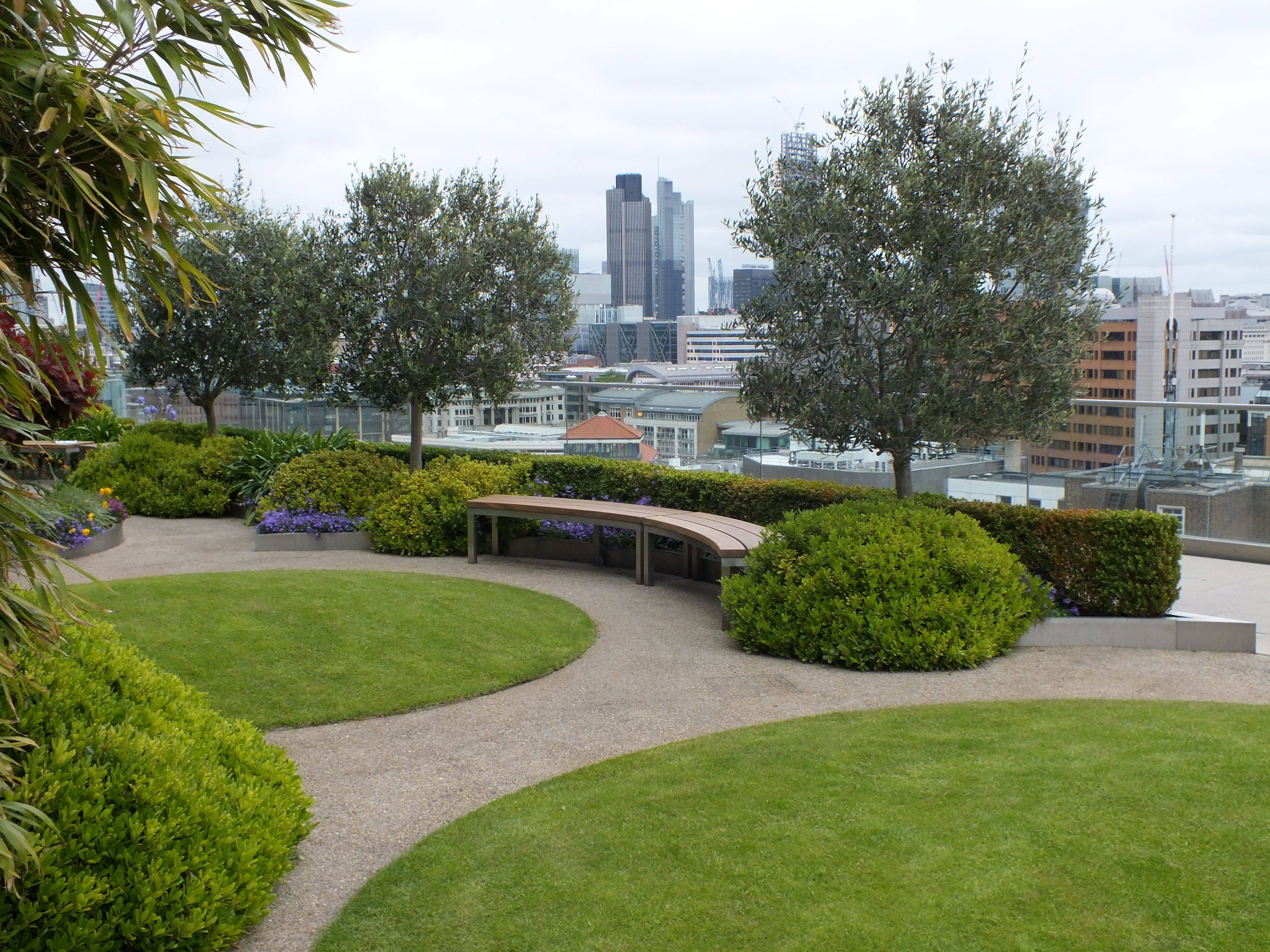 Best Terrace Gardening Ideas