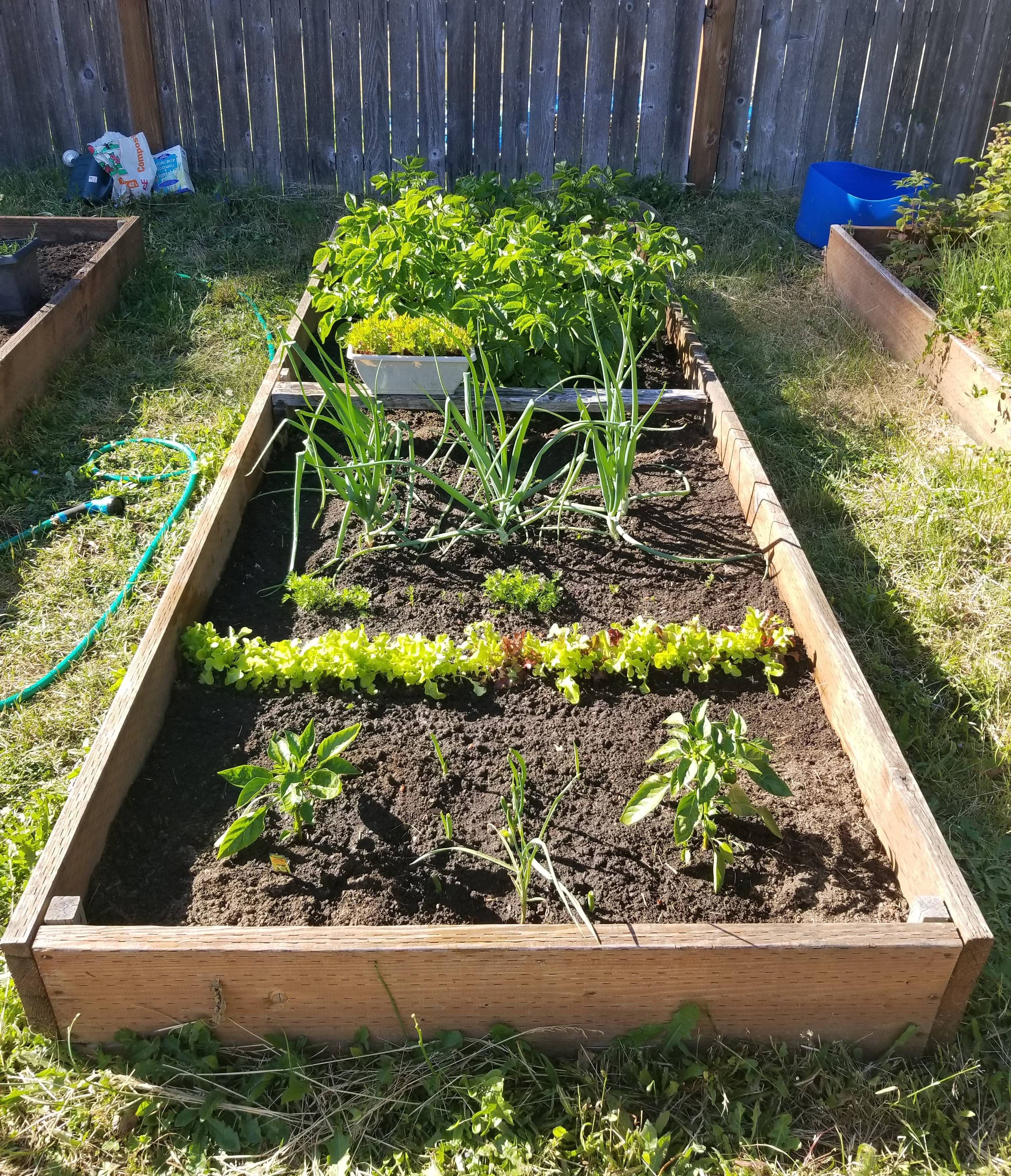 Simple Home Gardens Google Search Gardens Pinterest Rooftop