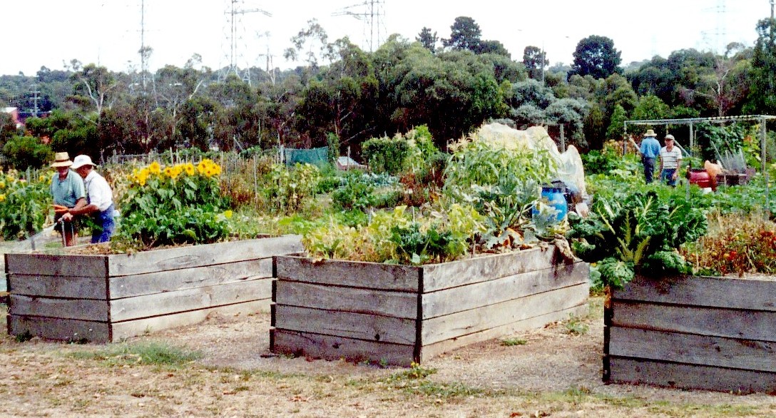Simple Home Gardens Google Search Gardens Pinterest Rooftop