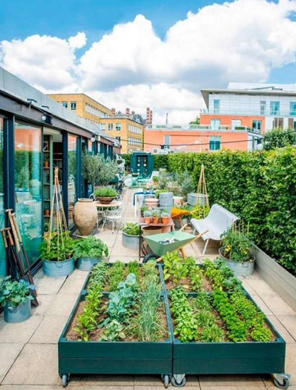 Urban Gardening