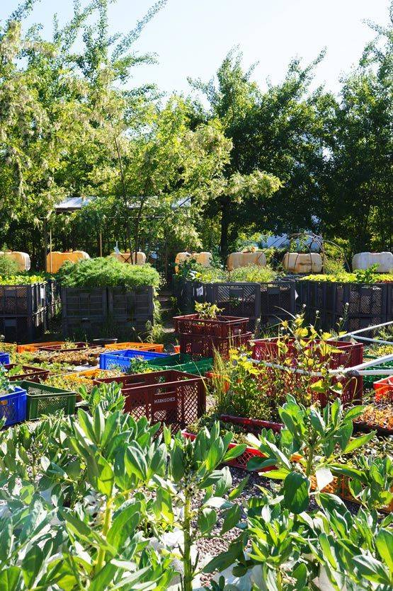 Garden Projects