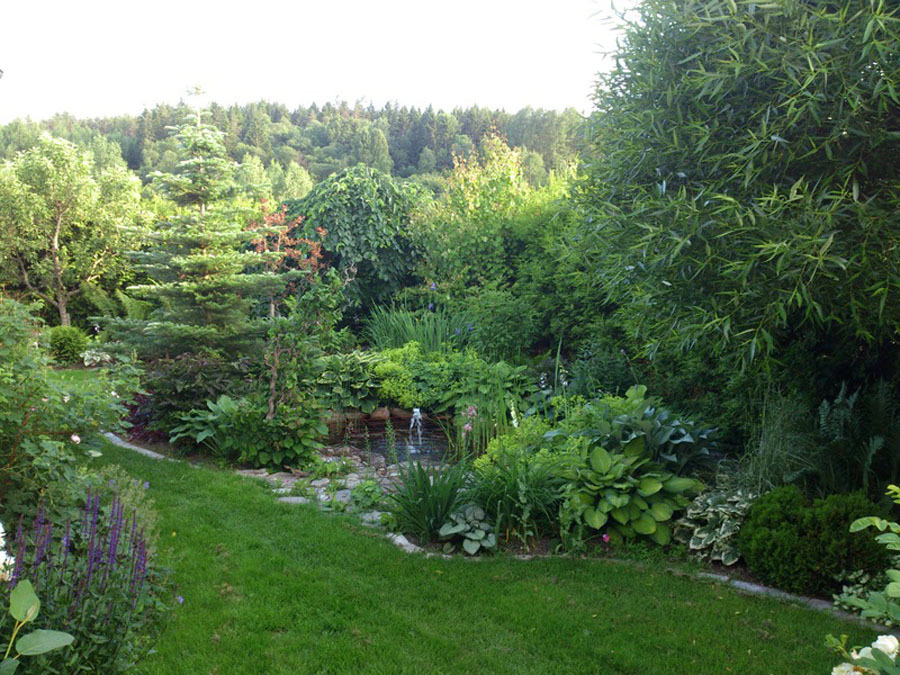 Community Garden Ideas