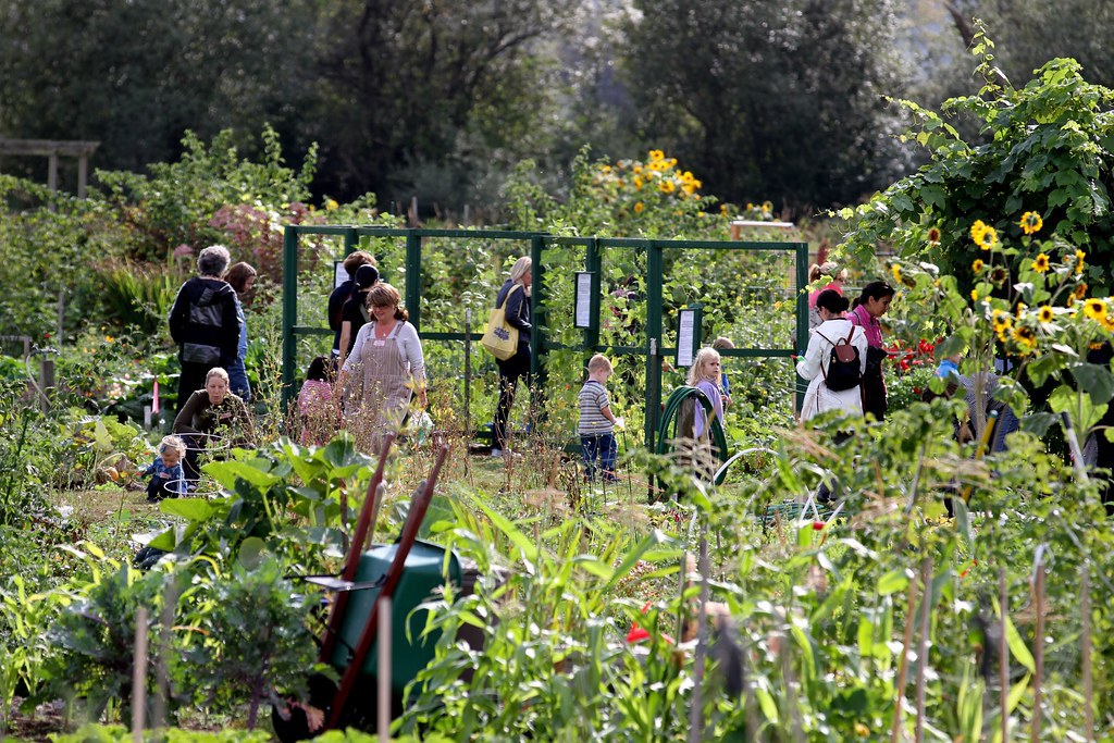 The Garden