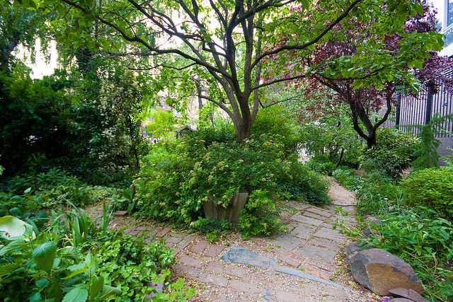 Garden Lanscape Garden