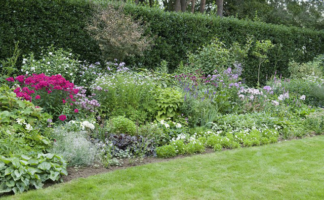 Garden Design Ideas