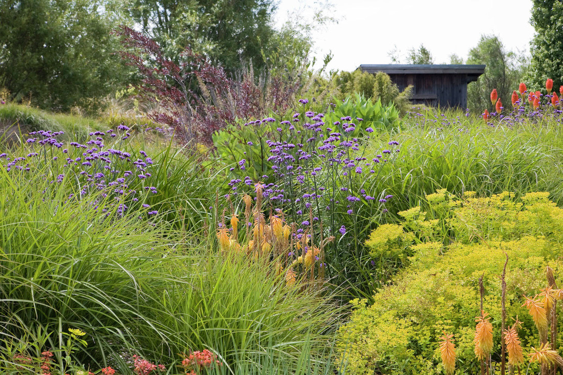 Garden Design Ideas