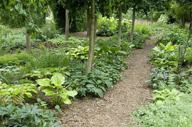 Garden Design Ideas