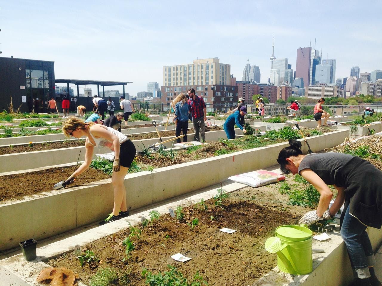 Community Gardens Nationwide