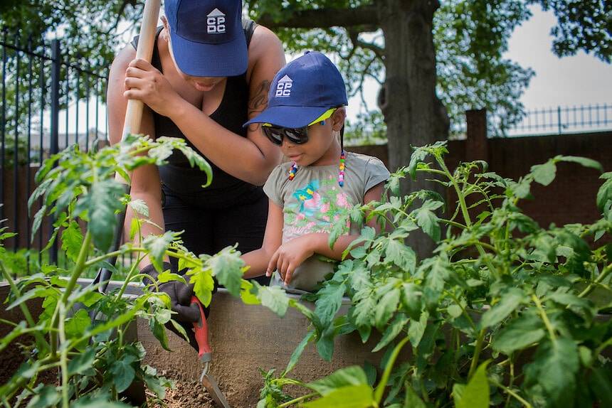 A Community Garden Crafty House