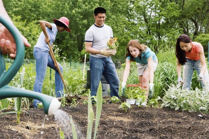 Your Community Service Hours
