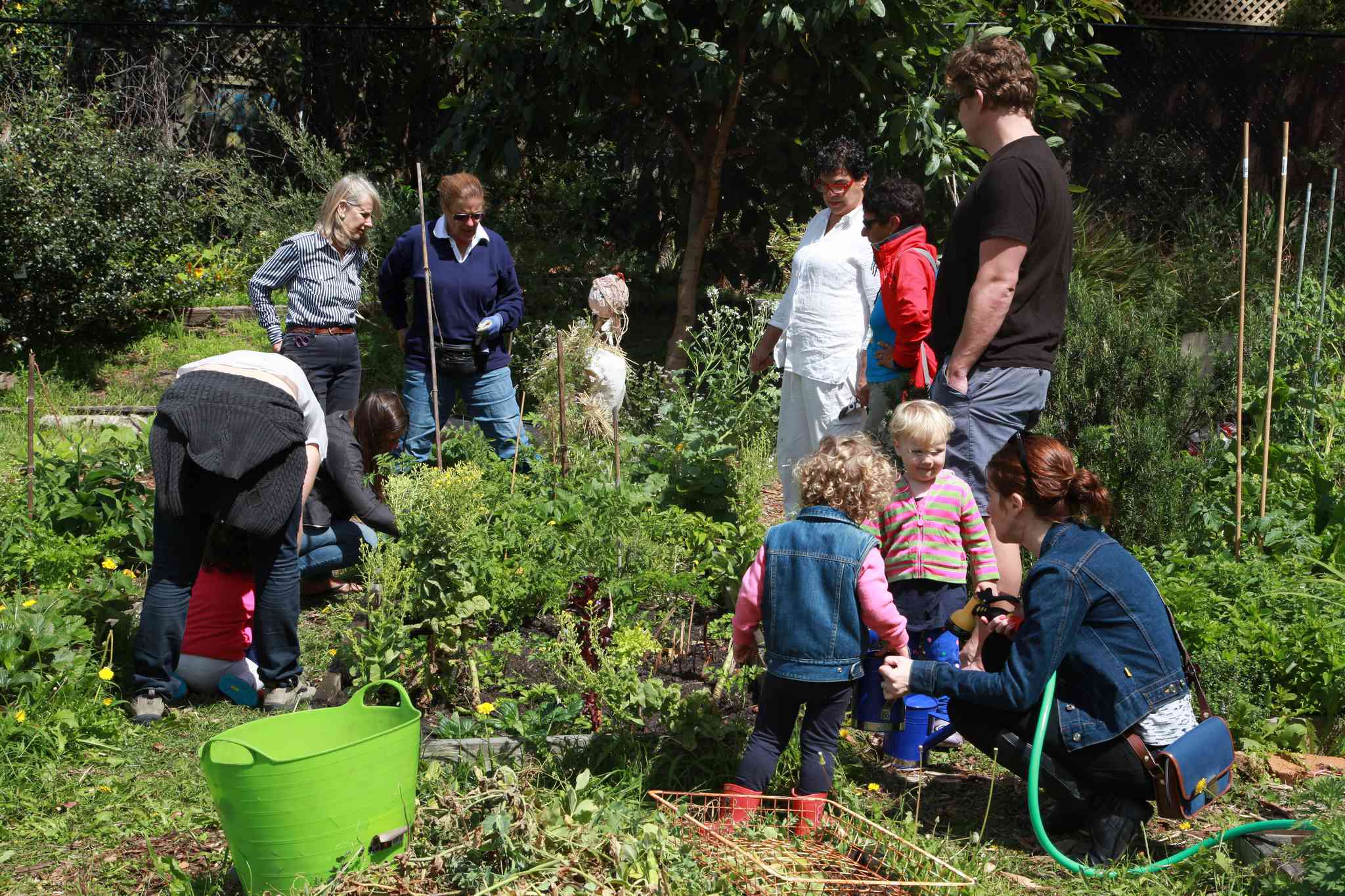 Community Gardens