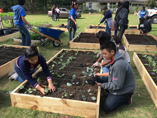 Plant Exchanges
