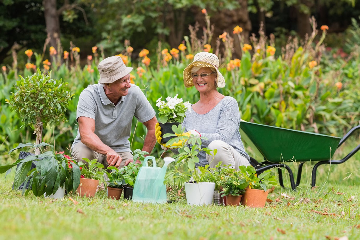 Pin On Gardening
