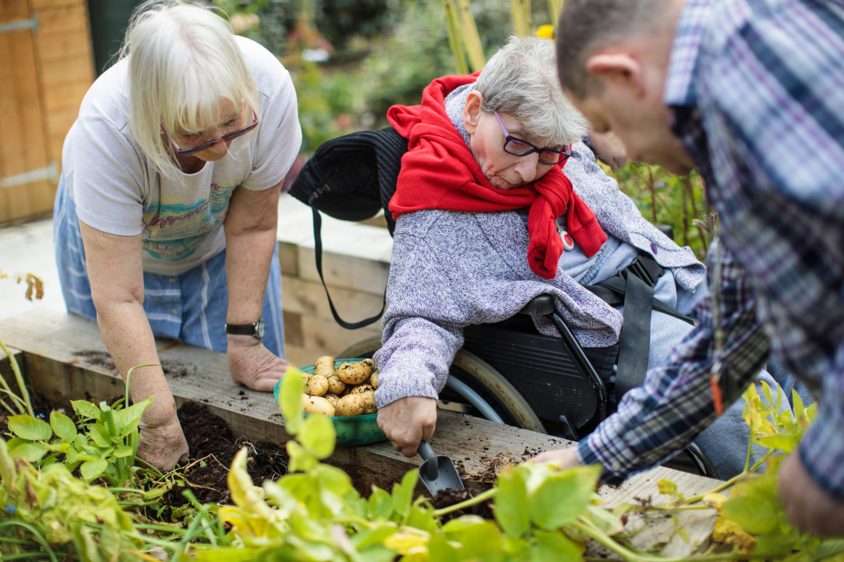 A Community Garden