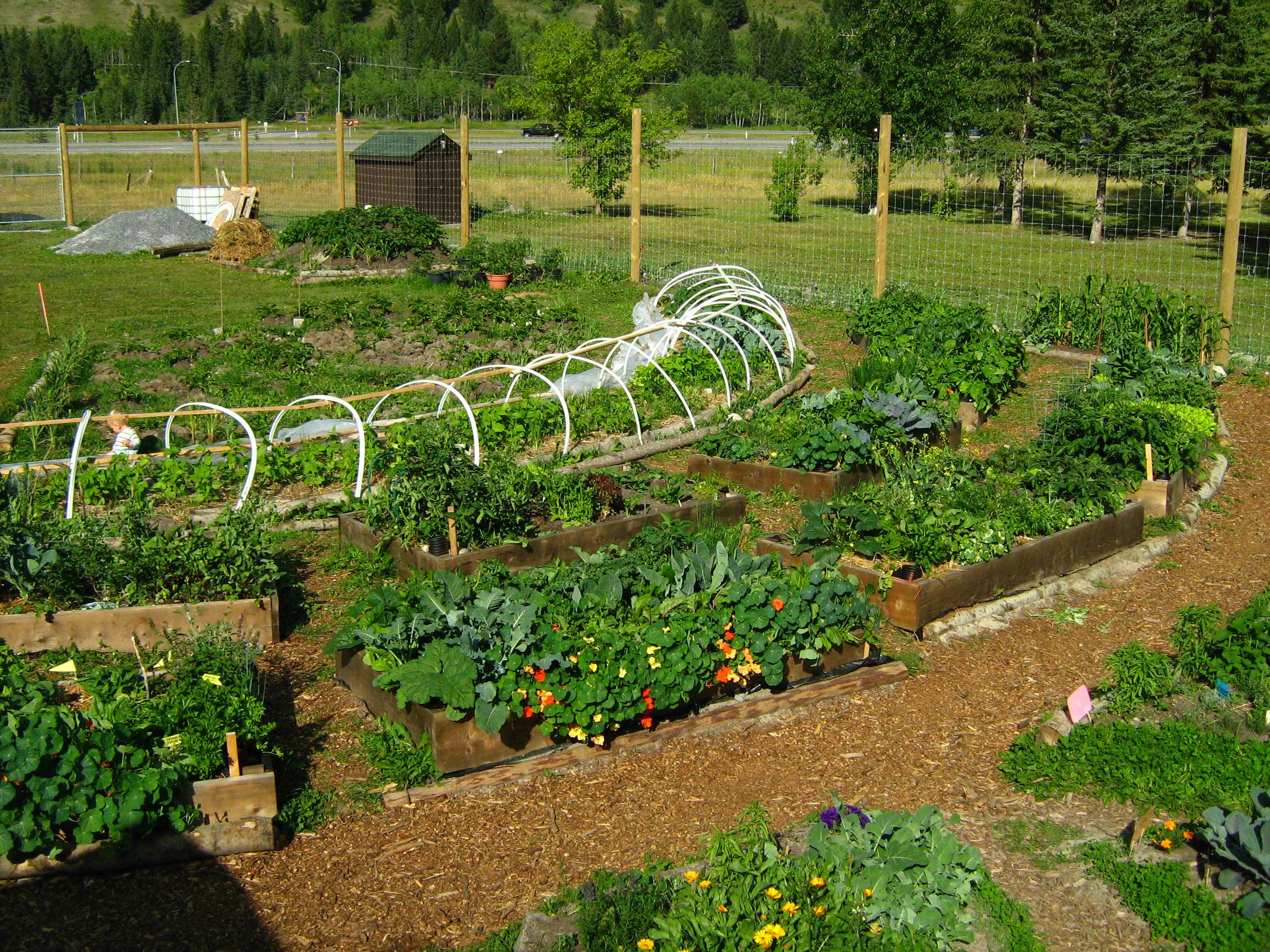 Community Garden Layout