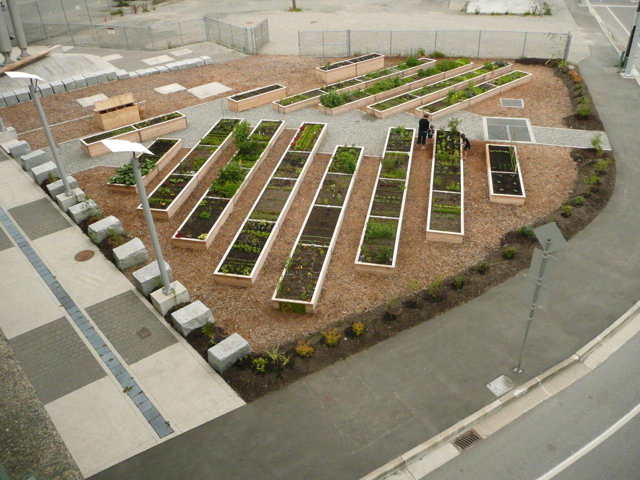 Community Garden Urban Garden Design