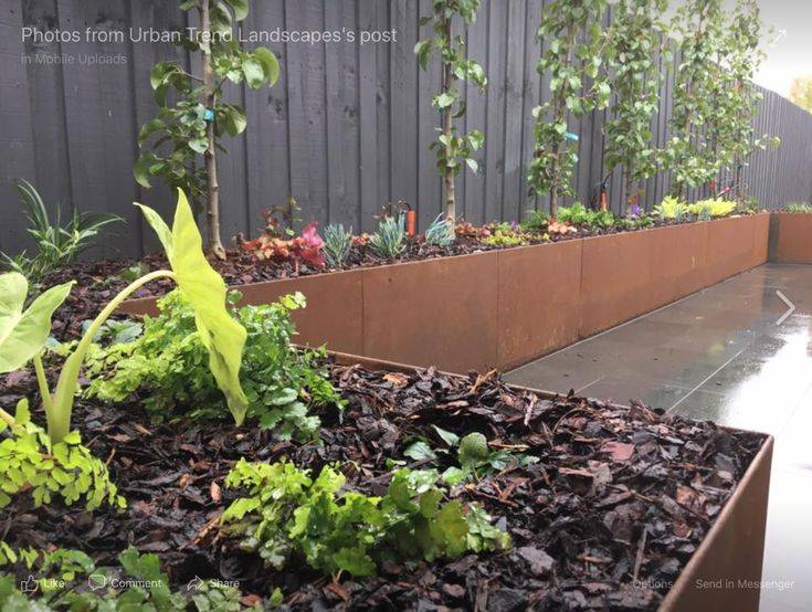 Corrugated Metal And Wood Raised Bed Garden Beds Metal Garden Beds