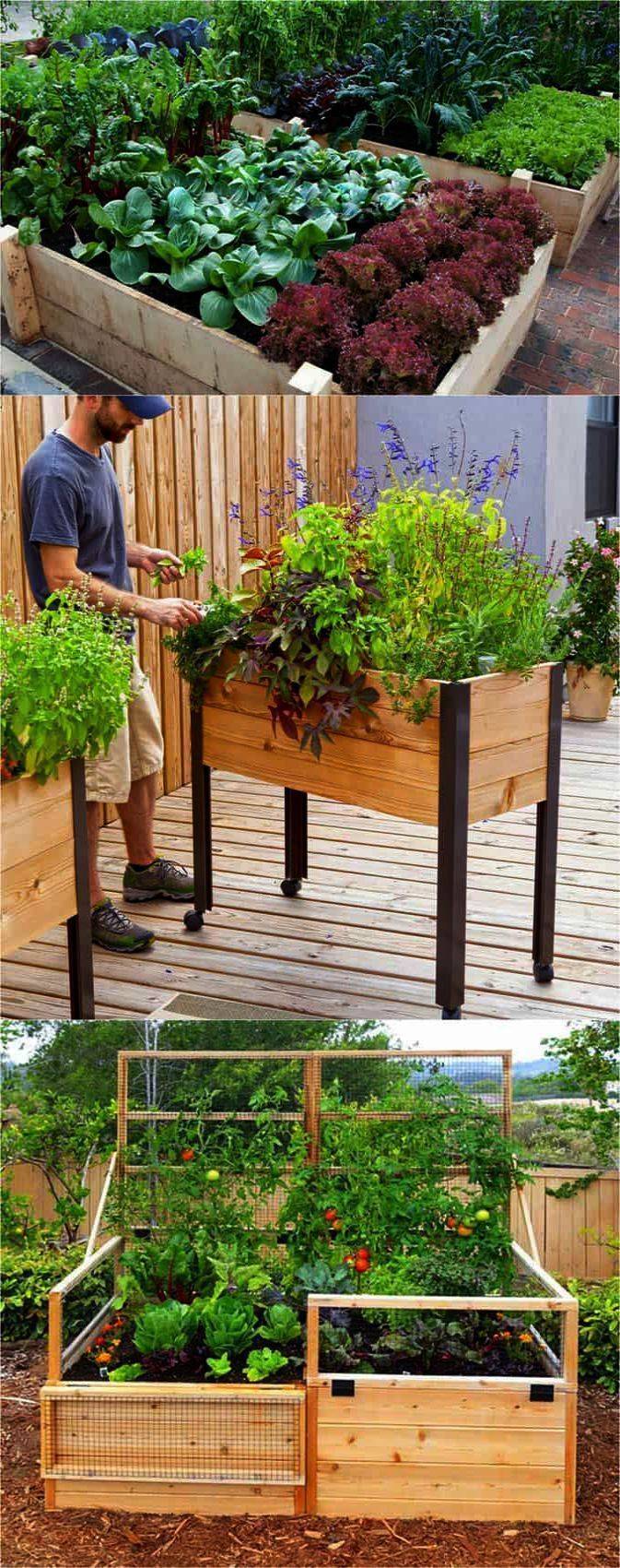 Raised Garden Bed