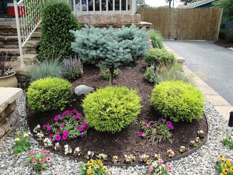 Fantastic Evergreen Landscape Ideas