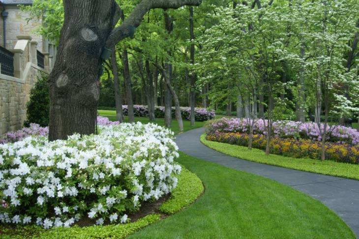 Shady Areas