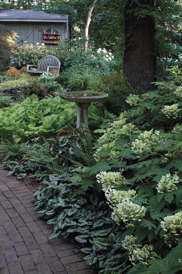 The Relaxing Shade Garden Design