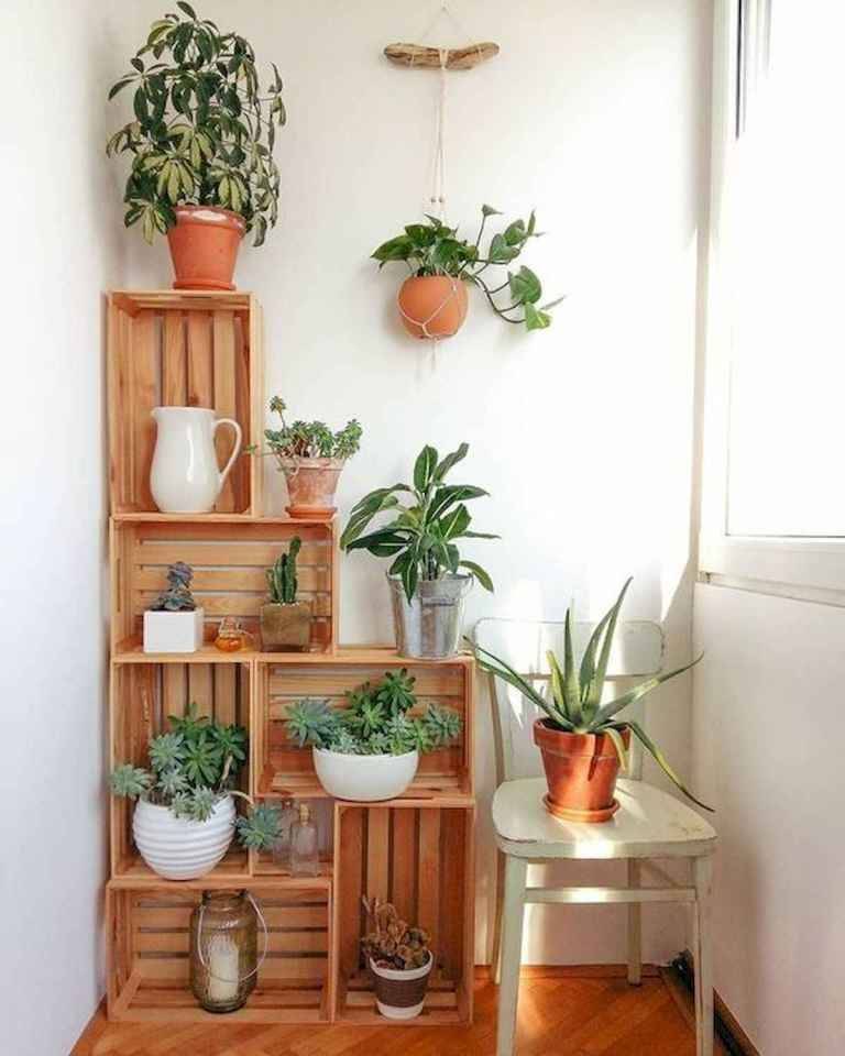 Creative Garden Potting Ideas Diy Garden Projects
