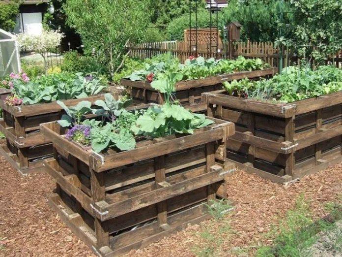 Spectacular Recycled Wood Pallet Garden Ideas