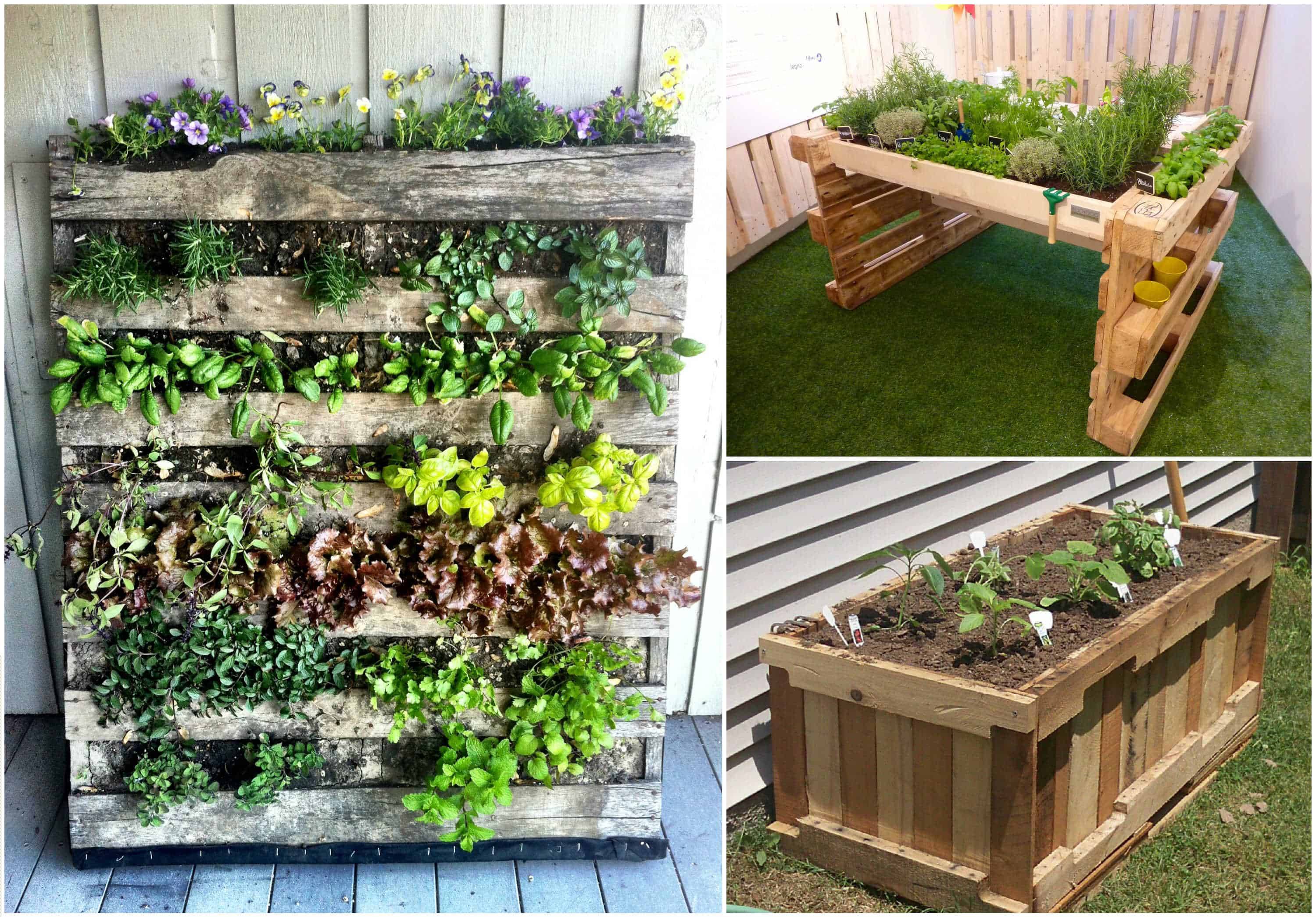 Spectacular Recycled Wood Pallet Garden Ideas