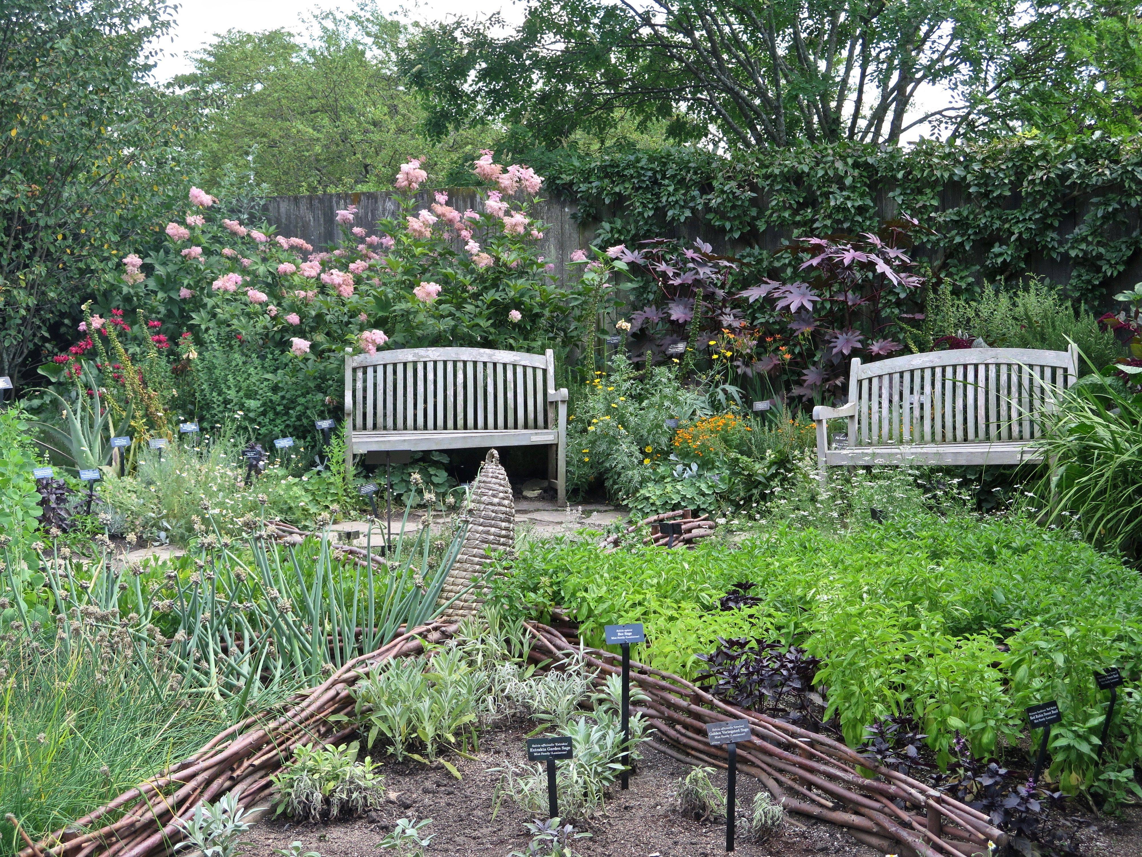 The Robisonyork Herb Garden