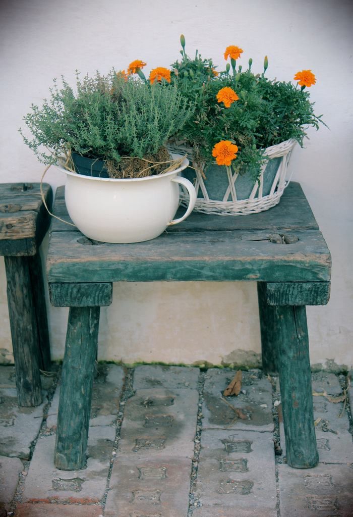 Potting Bench Garden