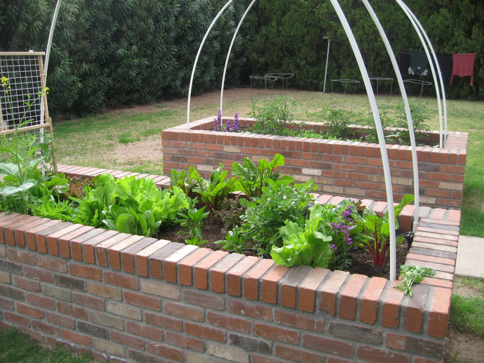 New Home Landscaping Ideas