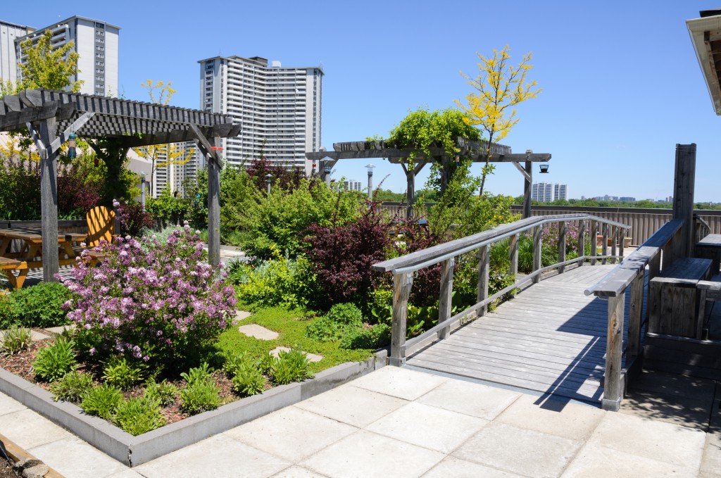 Vertical Roof Gardens