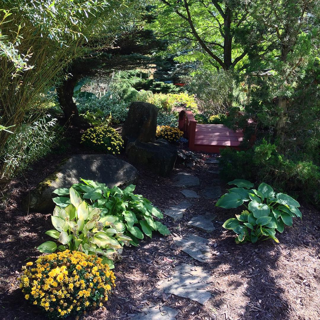 Shade Garden