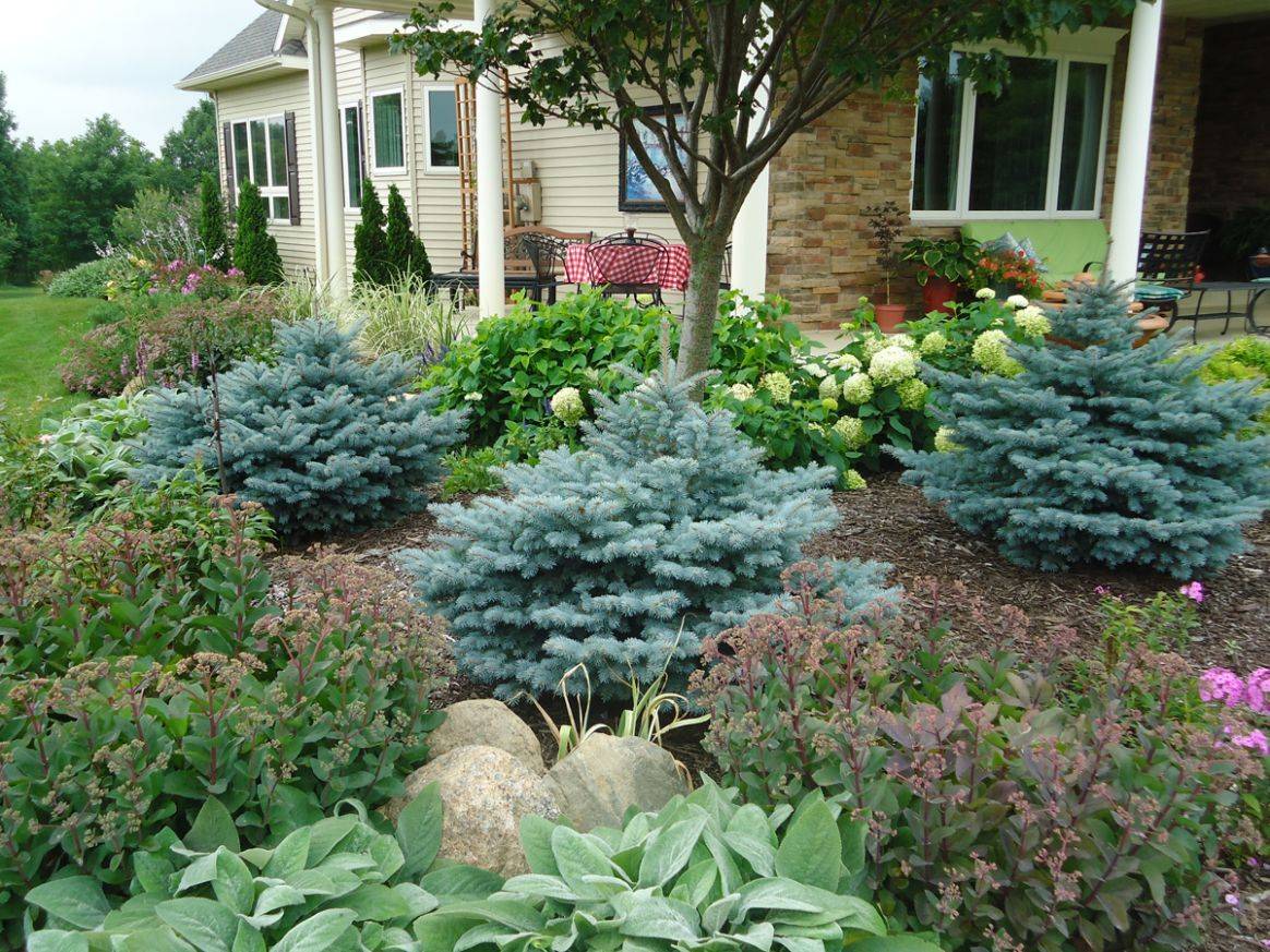 Perennial Garden Plans