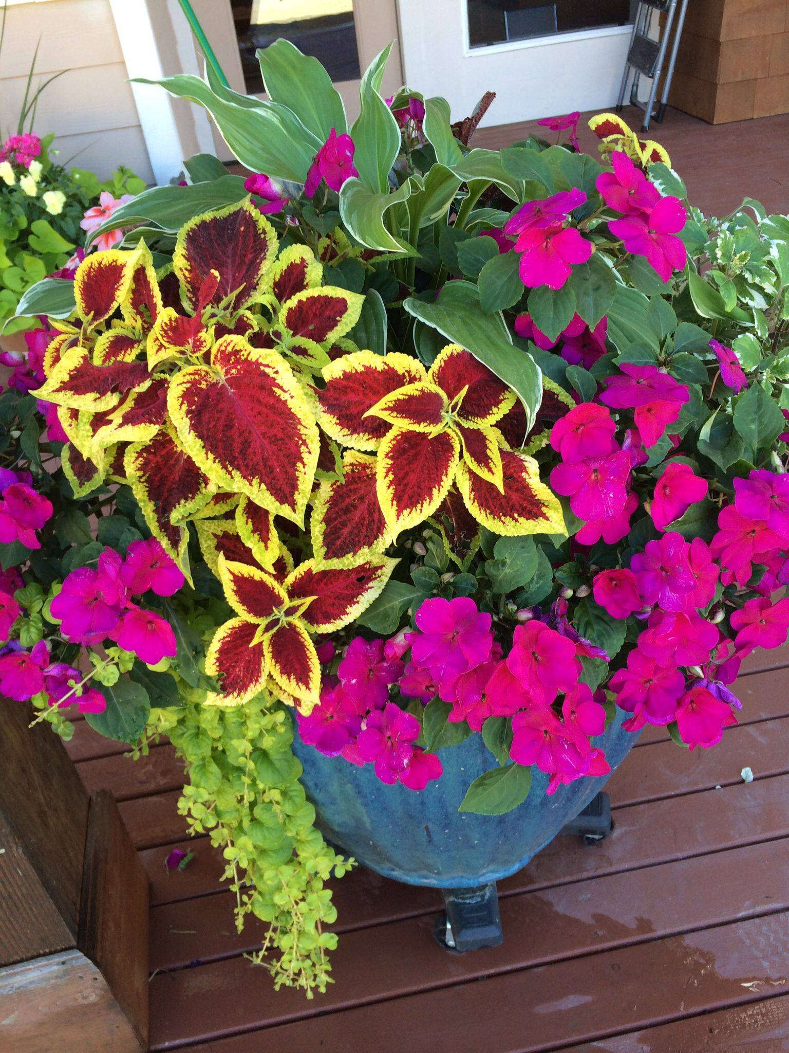 Pinterest Garden Container
