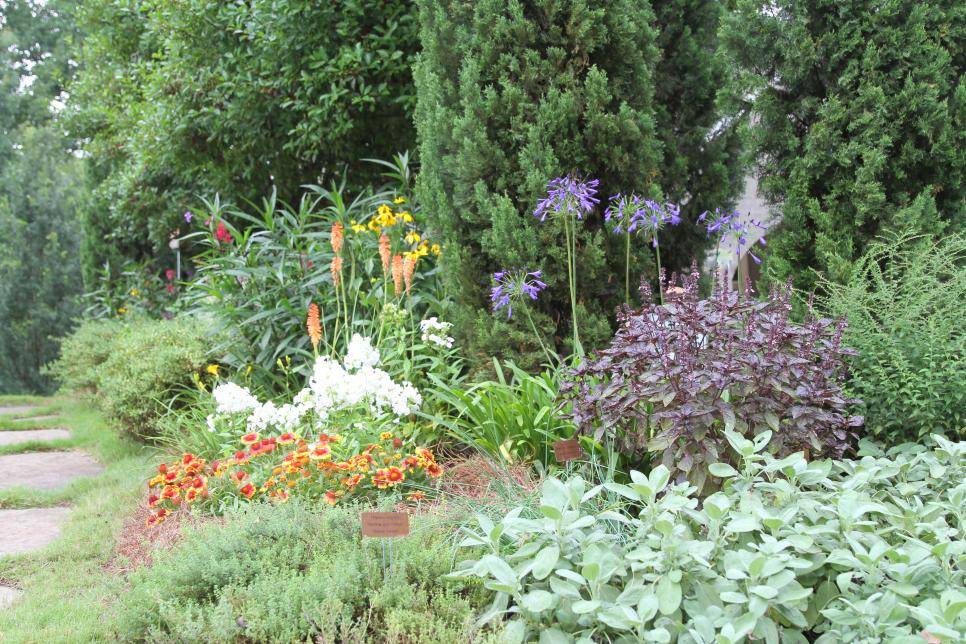 Perennial Plant Combinations