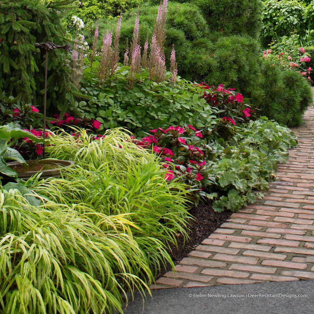 Landscape Design Portfolios