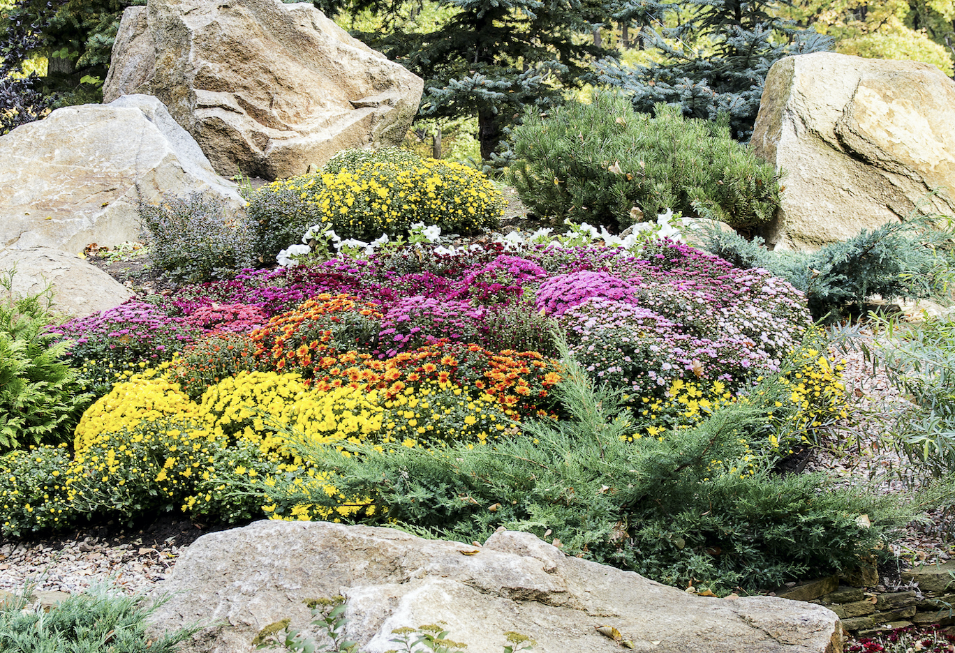 Perennial Garden Brilliant Ideas For Gardener Perennial Flowers