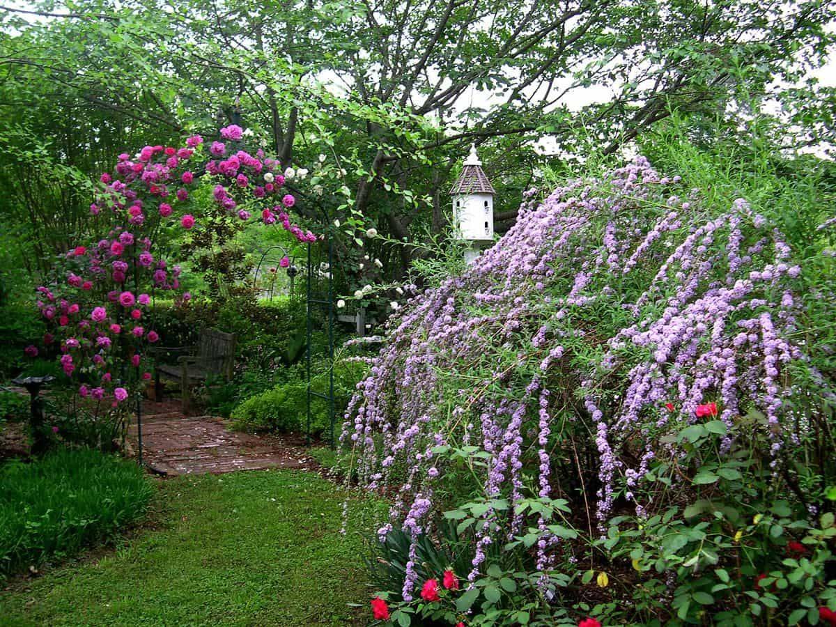 Best Butterfly Garden Planning Zone