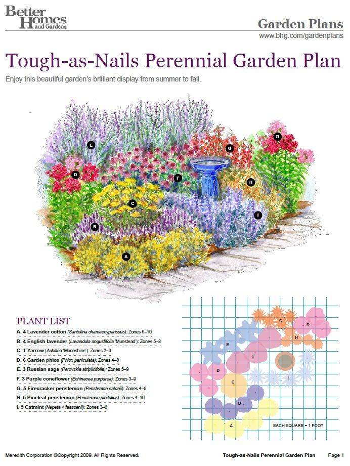 Butterfly Garden Design Replace Plants