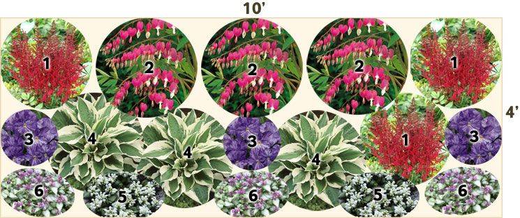 Shade Garden Design