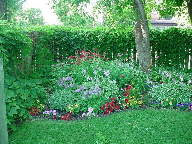 Zone Perennial Garden Plans