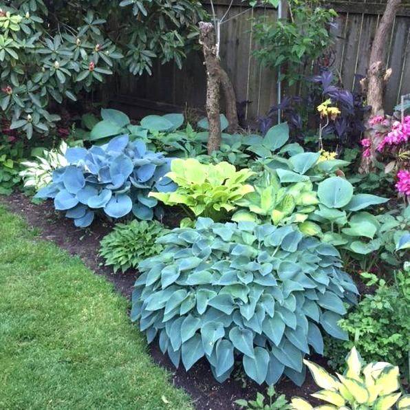 Pre Planned Gardens Zone